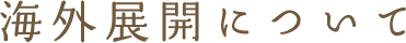 海外展開についてについて